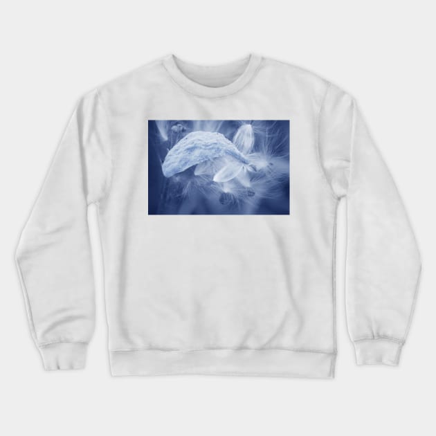 Flight... Crewneck Sweatshirt by LaurieMinor